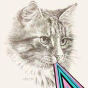 Meet your Posher, Cynthia